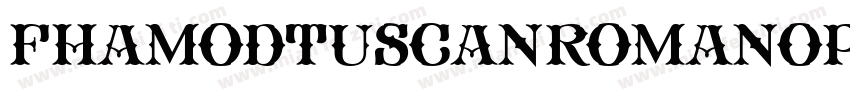 FhaModTuscanRomanOpenNcv-AW37字体转换