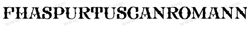 FhaSpurTuscanRomanNcv-VJ2w字体转换