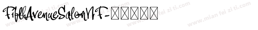 FifthAvenueSalonNF字体转换