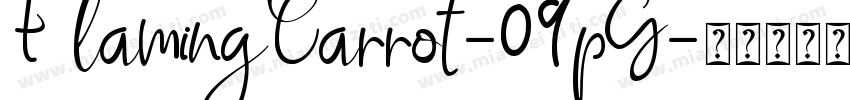 FlamingCarrot-09pG字体转换