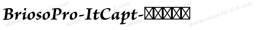 BriosoPro-ItCapt字体转换