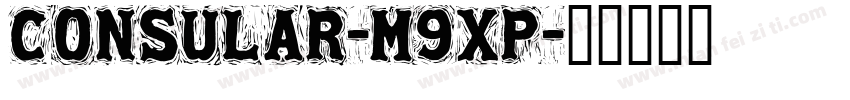 Consular-M9XP字体转换