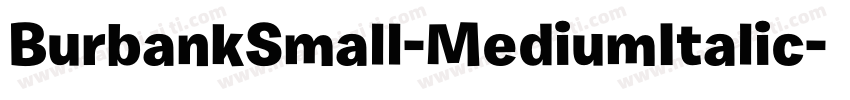 BurbankSmall-MediumItalic字体转换