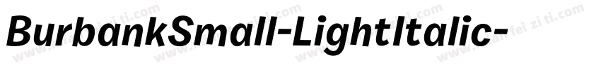 BurbankSmall-LightItalic字体转换