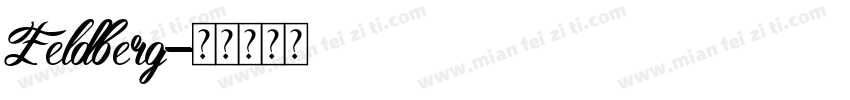 Feldberg字体转换