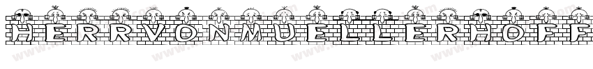 HerrVonMuellerhoff-R字体转换