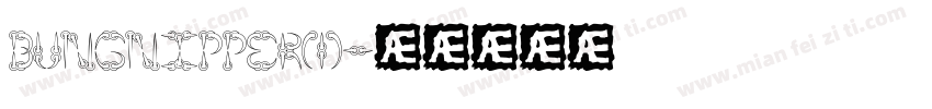 Bungnipper(1)字体转换