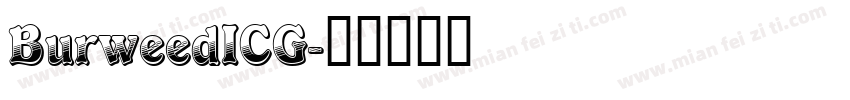 BurweedICG字体转换