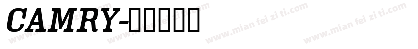 CAMRy字体转换
