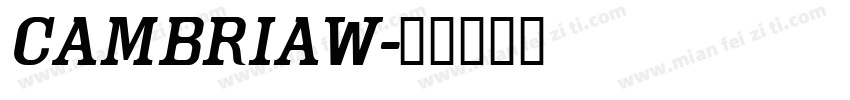 CambriaW字体转换
