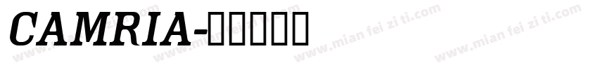 camria字体转换