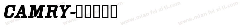 CAMRy字体转换