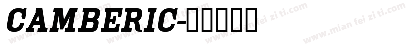 Camberic字体转换
