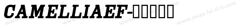 CamelliaEF字体转换