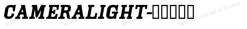 Cameralight字体转换