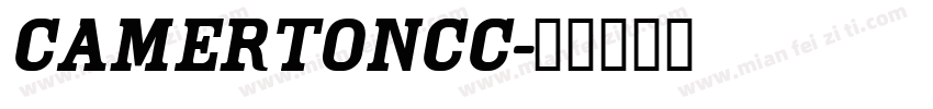CamertonCC字体转换