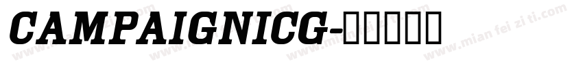 CampaignICG字体转换