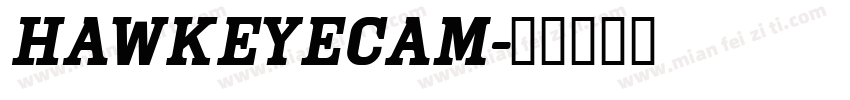 HawkeyeCam字体转换