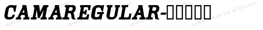 camaregular字体转换