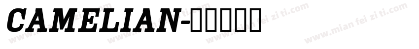 camelian字体转换
