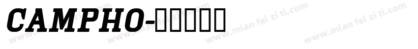 campho字体转换