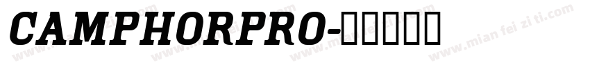 camphorpro字体转换