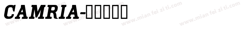 camria字体转换