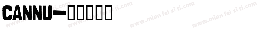 cannu字体转换