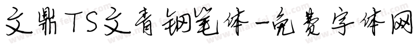 文鼎TS文青钢笔体字体转换