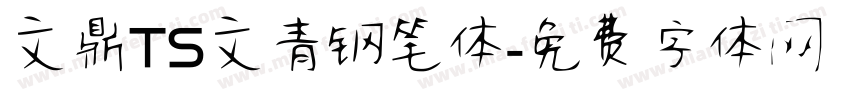 文鼎TS文青钢笔体字体转换