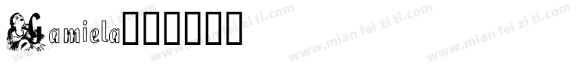 Gamiela字体转换