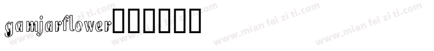 gamjarflower字体转换