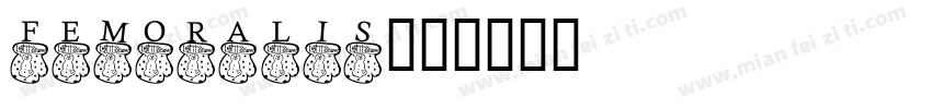 FEMORALIS字体转换