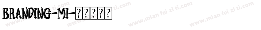 branding-mi字体转换