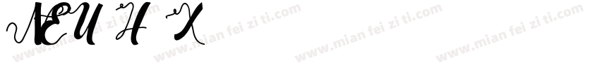 NEU-H1X字体转换