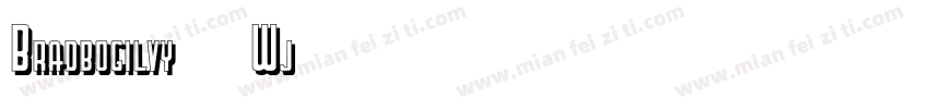 Bradbogilvy-12Wj字体转换