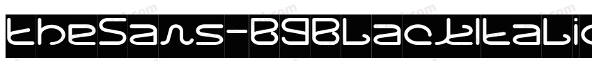 TheSans-B9BlackItalic字体转换