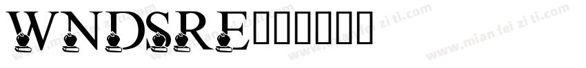 WNDSRE字体转换