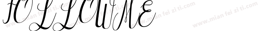 FOLLOWME字体转换