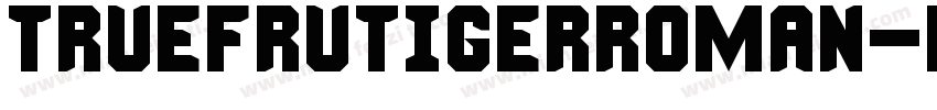 truefrutigerroman字体转换