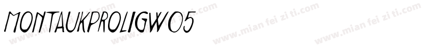 MontaukProLigW05字体转换