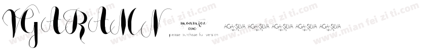 VGARAMN字体转换