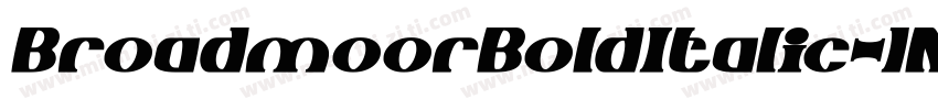 BroadmoorBoldItalic-1M02字体转换