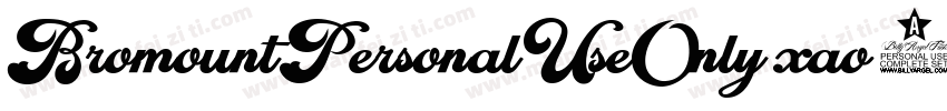 BromountPersonalUseOnly-xao8字体转换