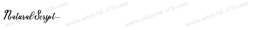 NaturalScript字体转换