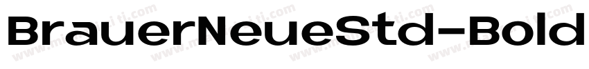 BrauerNeueStd-Bold字体转换
