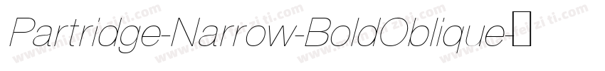 Partridge-Narrow-BoldOblique字体转换
