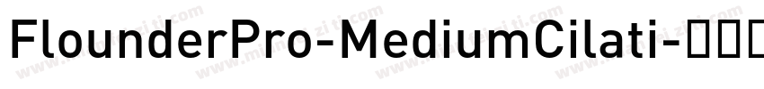 FlounderPro-MediumCilati字体转换