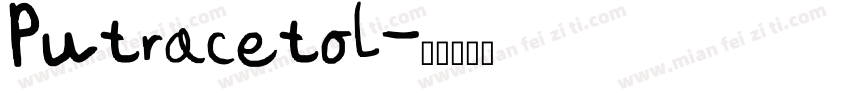 Putracetol字体转换