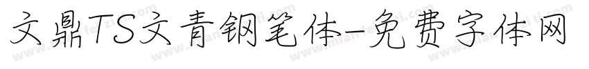 文鼎TS文青钢笔体字体转换